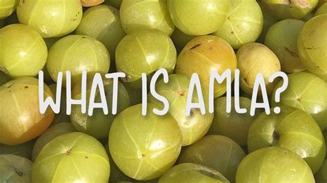 what is amla philippines|AMLA AT A GLANCE .